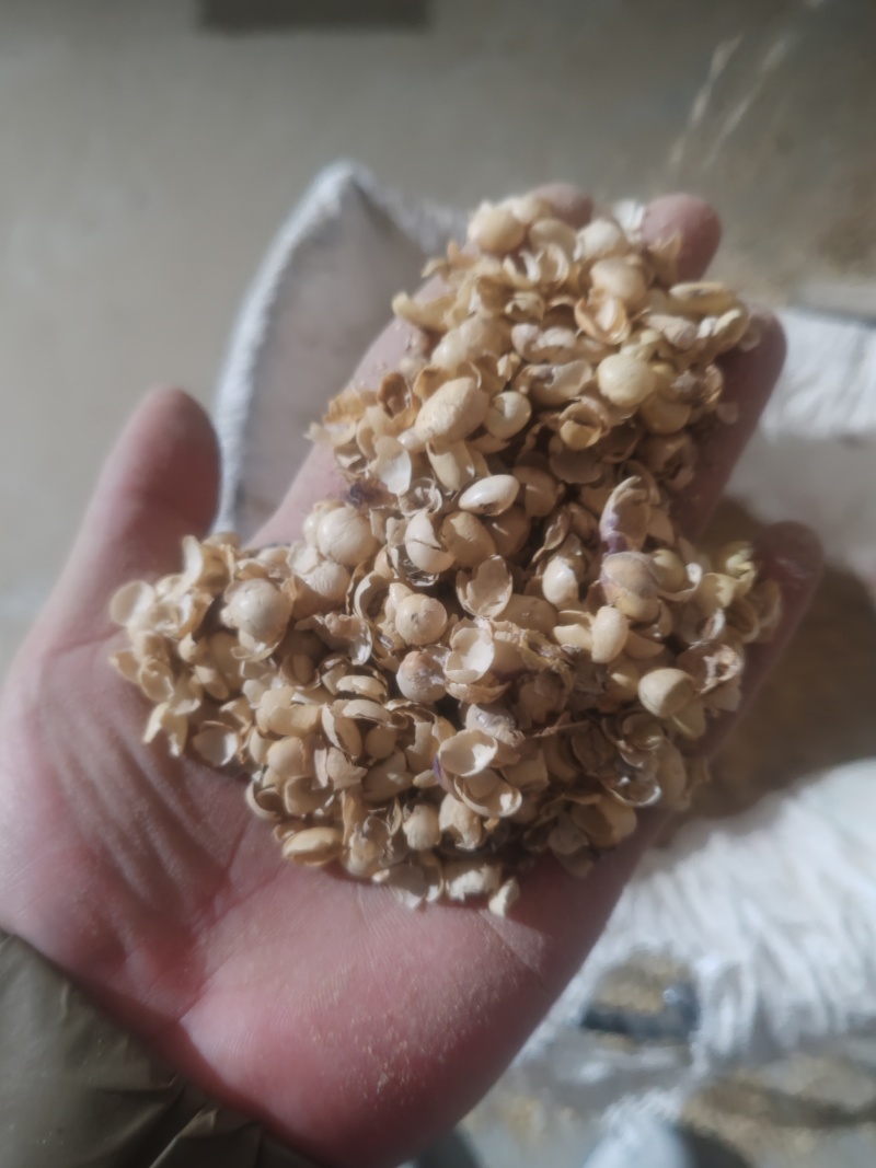 黄豆，豆面，果树专用