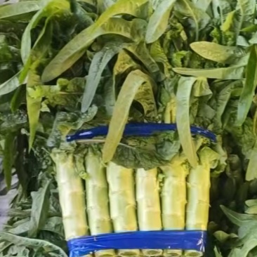 莴苣，莴笋