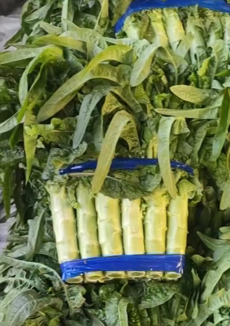 莴苣，莴笋