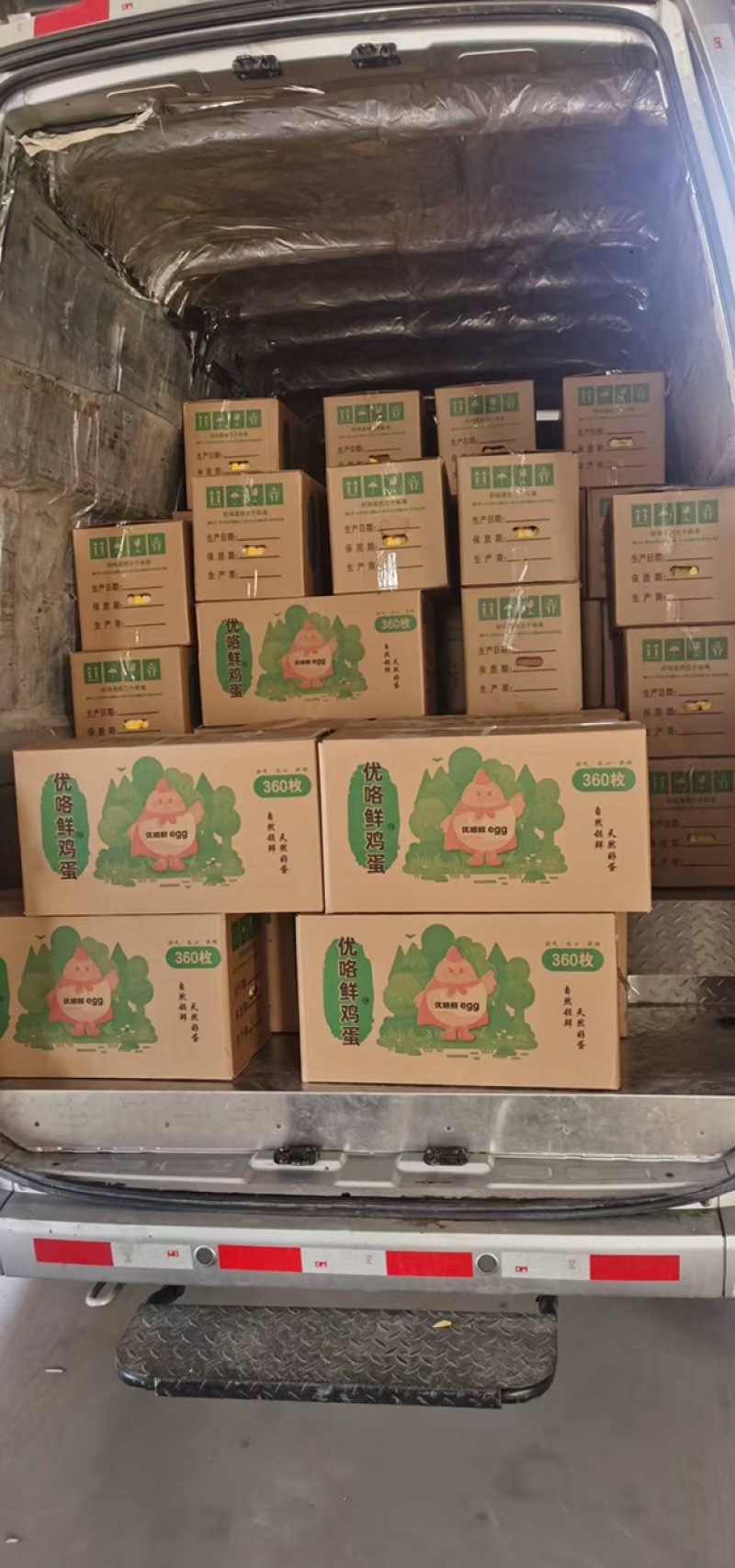 河南土鸡蛋，粉壳蛋常年供应，现场订货，可视频在线观看