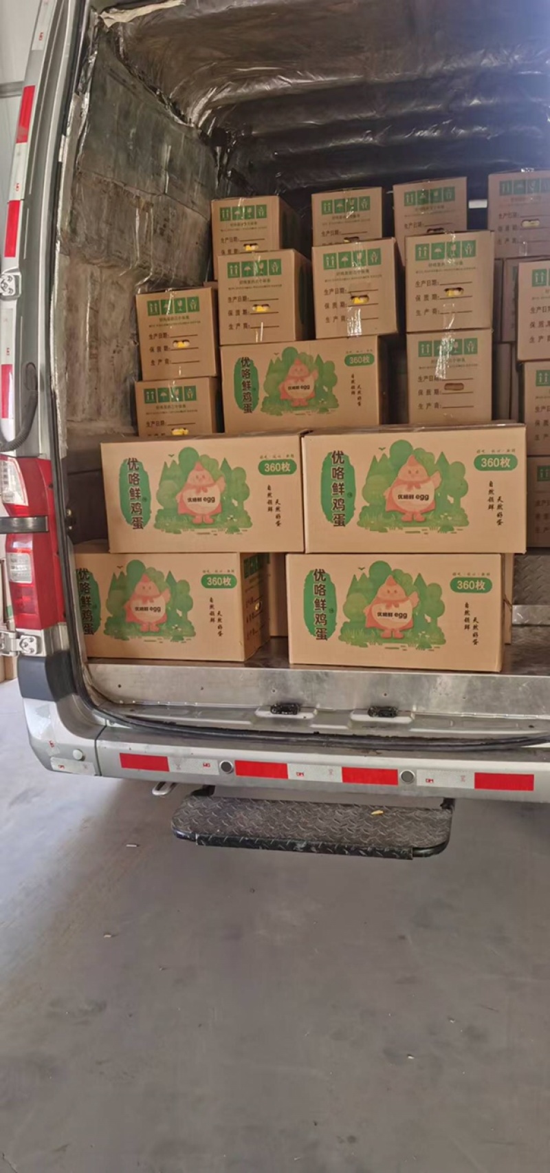河南土鸡蛋，粉壳蛋常年供应，现场订货，可视频在线观看
