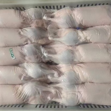 一级新货白条鸭