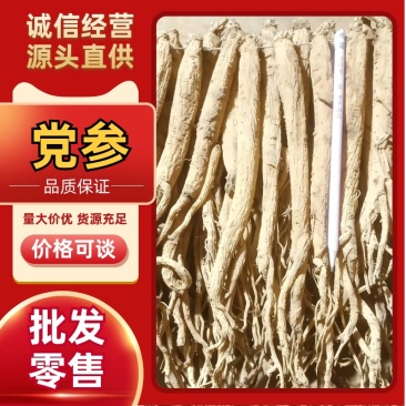 贵州白条党参产地发货品质保证欢迎电联