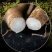 东北吉林长白山野山参15年带土新鲜人参林下参移山参