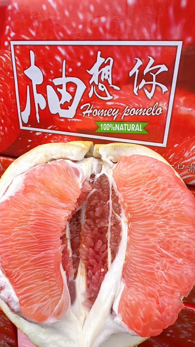 精品三红柚，白柚大量有货