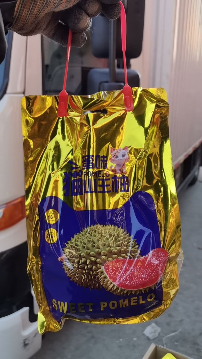精品三红柚，白柚大量有货