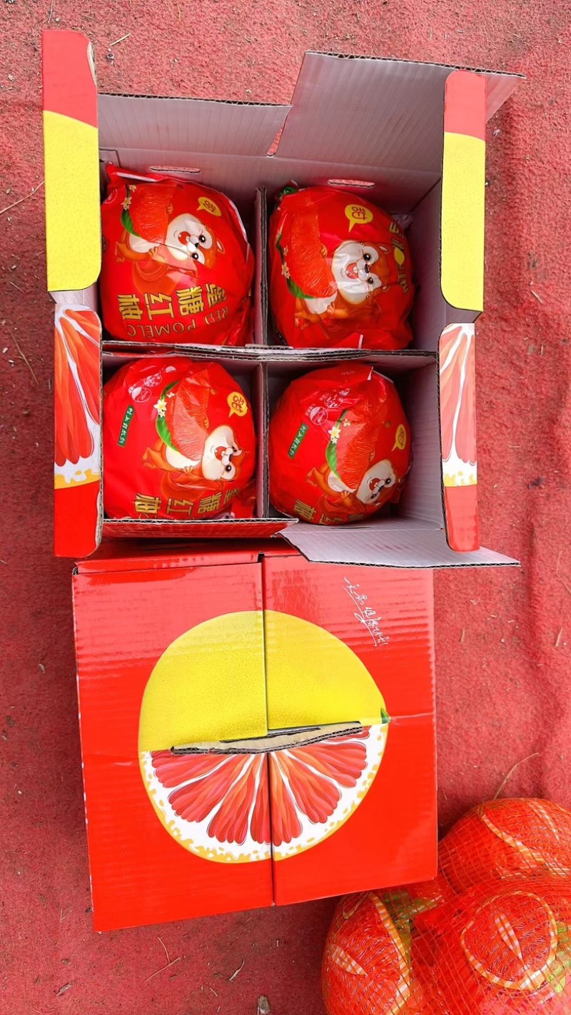 精品三红柚，白柚大量有货