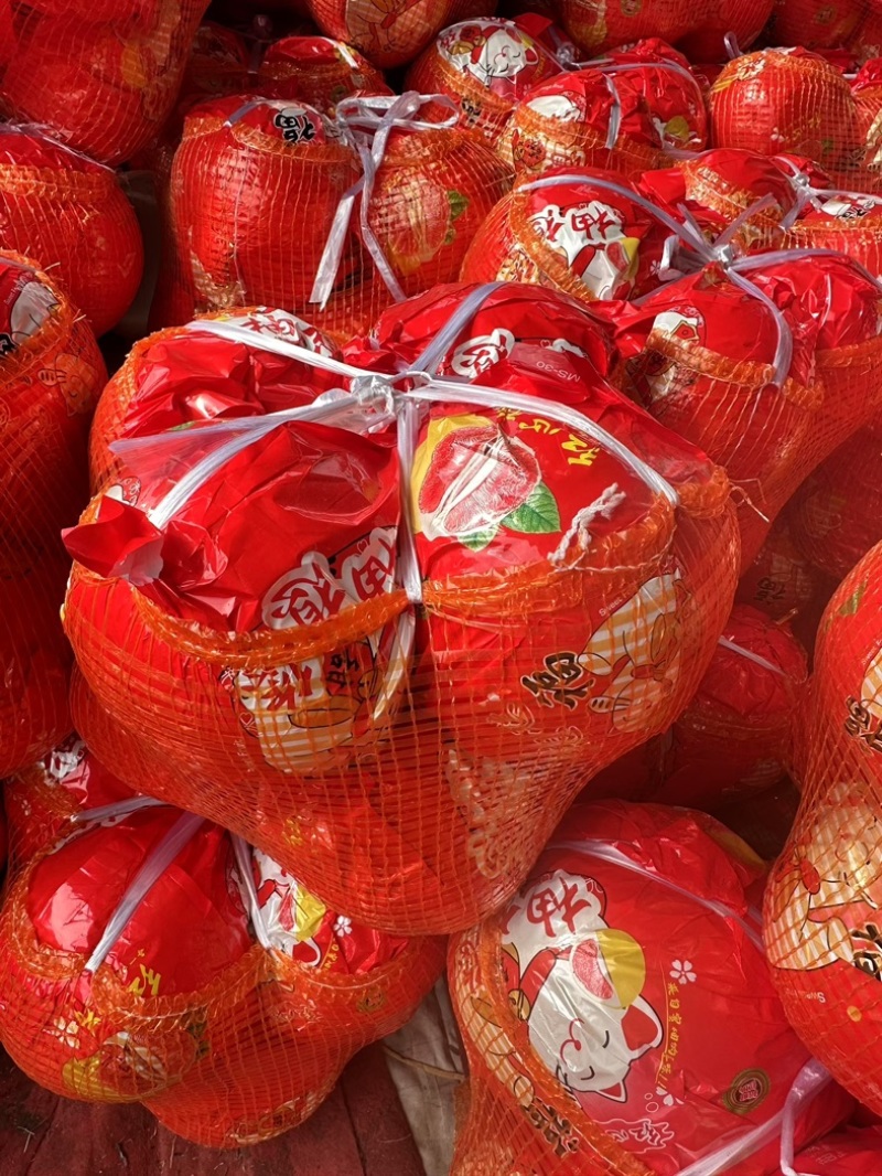 精品三红柚，白柚大量有货