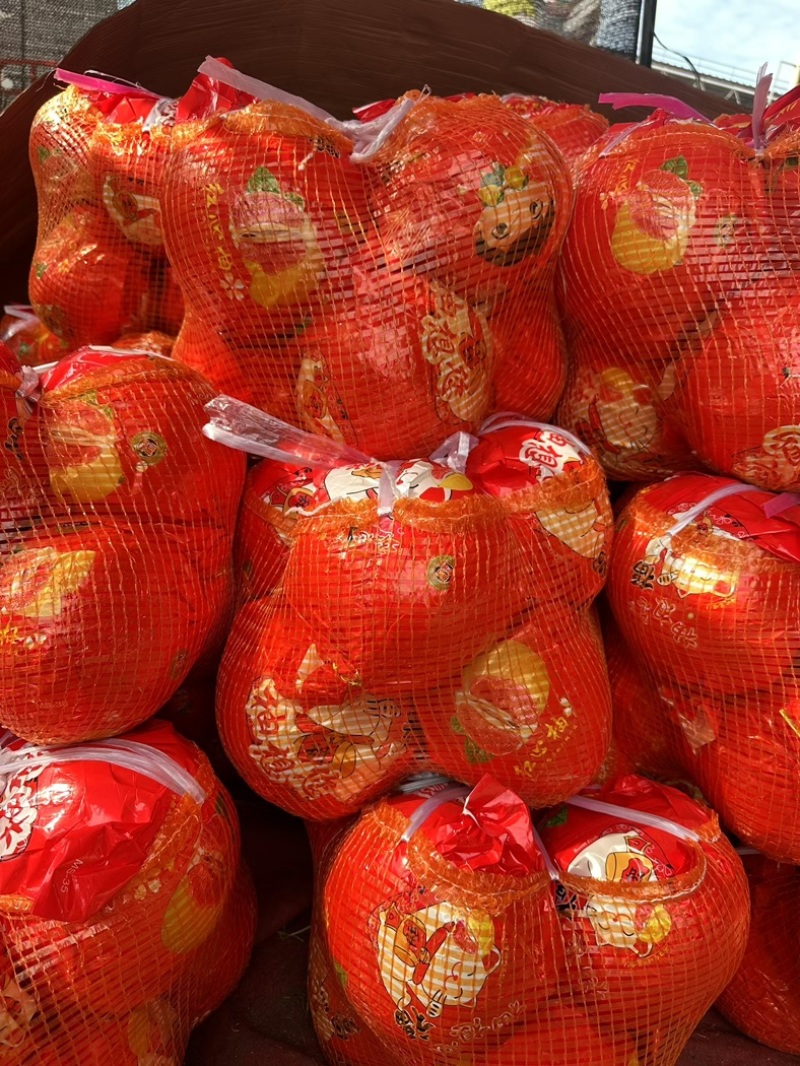 精品三红柚，白柚大量有货