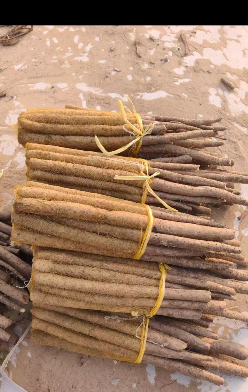 优质白玉三路，品质优越，价格公道，诚实守信