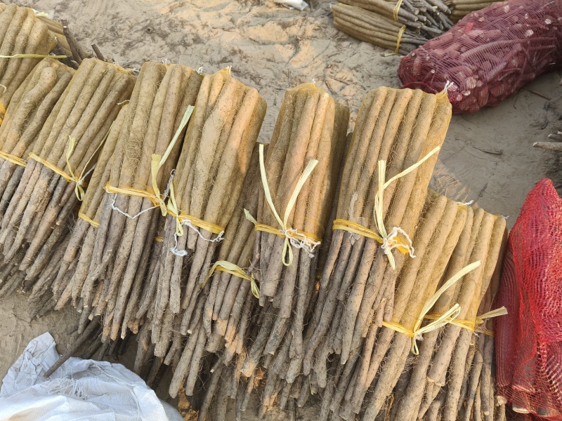 优质白玉三路，品质优越，价格公道，诚实守信