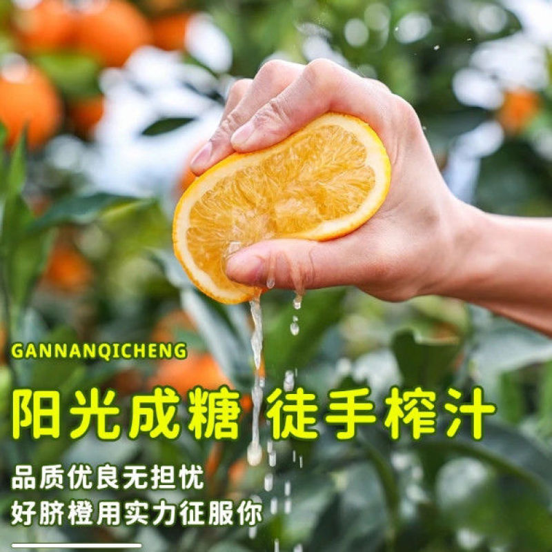 正宗赣南脐橙不打蜡，不催熟产地直发，量大优惠欢迎合作