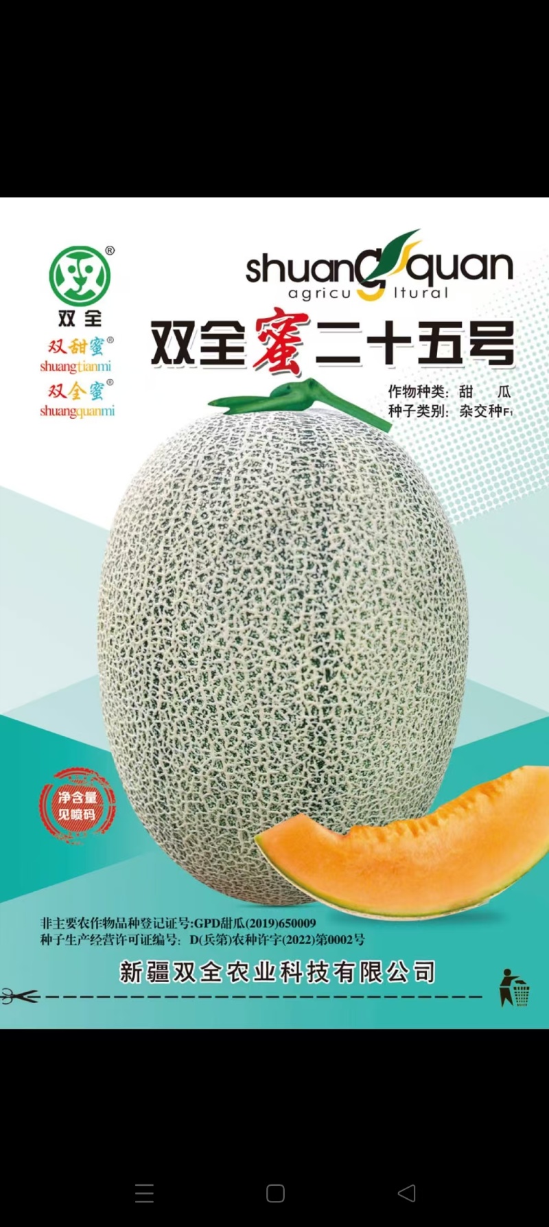 双全蜜晓蜜25哈密瓜早熟大果品种白皮白网