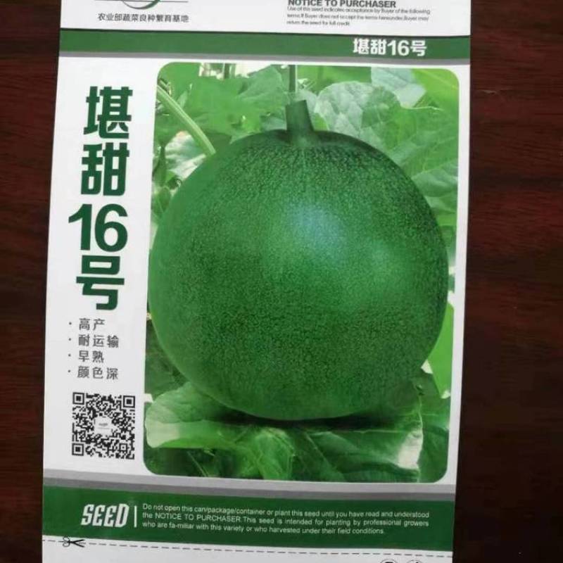 绿宝甜瓜苗绿宝石甜瓜苗绿美人甜瓜苗苗厂直发