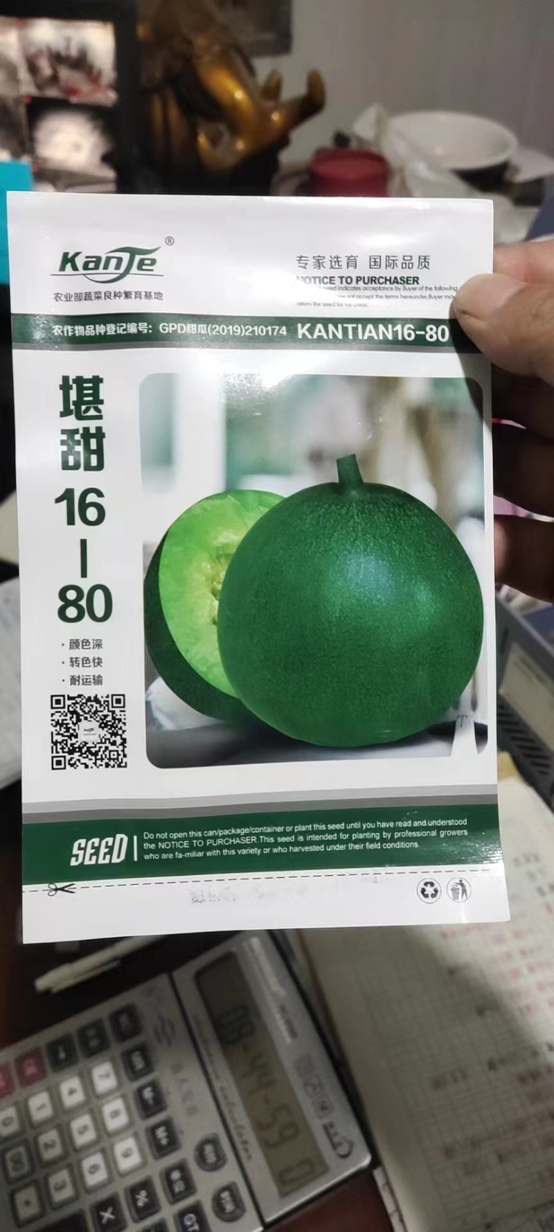 绿宝甜瓜苗绿宝石甜瓜苗绿美人甜瓜苗苗厂直发
