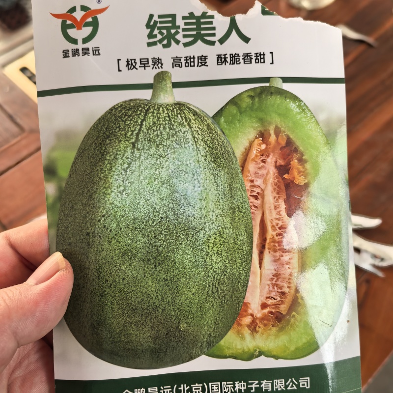 绿宝甜瓜苗绿宝石甜瓜苗绿美人甜瓜苗苗厂直发