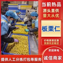 板栗仁货源充足，产地直发，诚信经营，欢迎客商来电