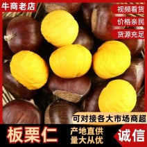 板栗油板栗个头饱满粉糯香甜产区直发量大从优保质保量