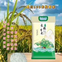 长粒香垦川102香米产自建三江产区口感芳香有饭味信价比好