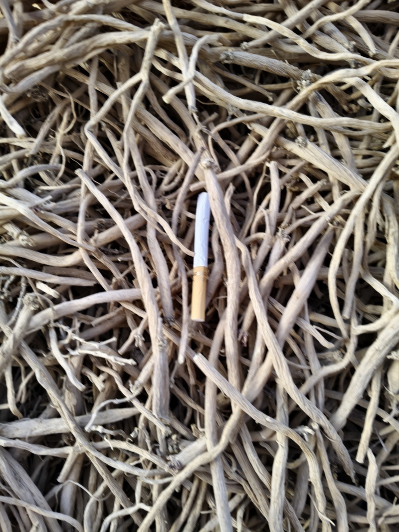 【推荐】宁夏银柴胡/一手货源/视频看货/诚信经营/电询