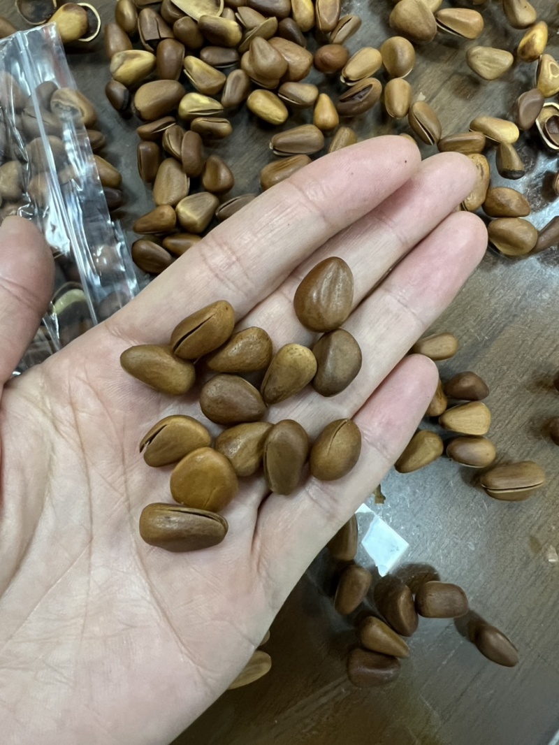 东北松子开口薄皮满肉