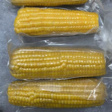 一件代发东北玉米各大电商平台对接