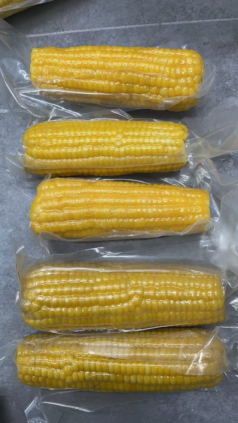 一件代发东北玉米各大电商平台对接