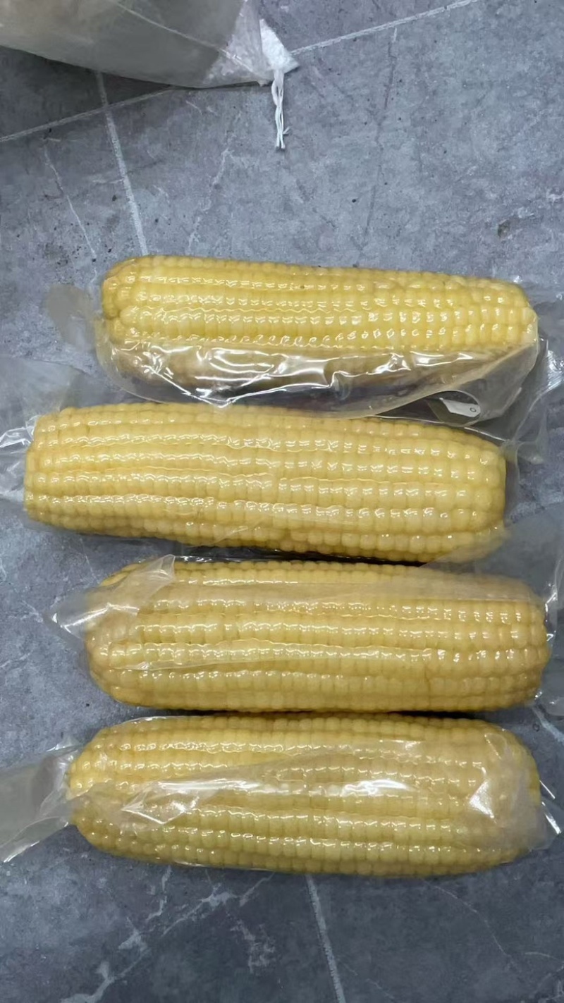 一件代发东北玉米各大电商平台对接