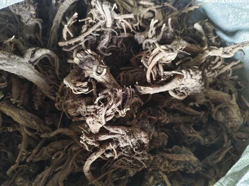 【一手货源】独活产地直发干货鲜货现货批发可稳定供应量大