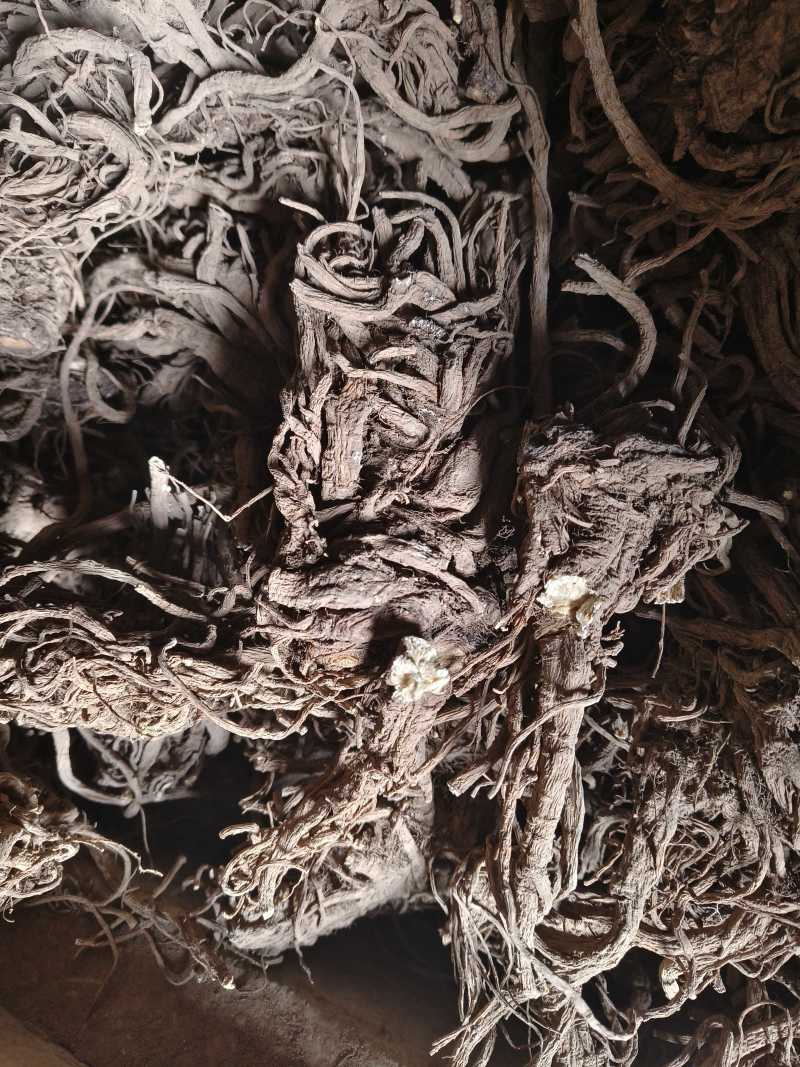 【一手货源】独活产地直发干货鲜货现货批发可稳定供应量大