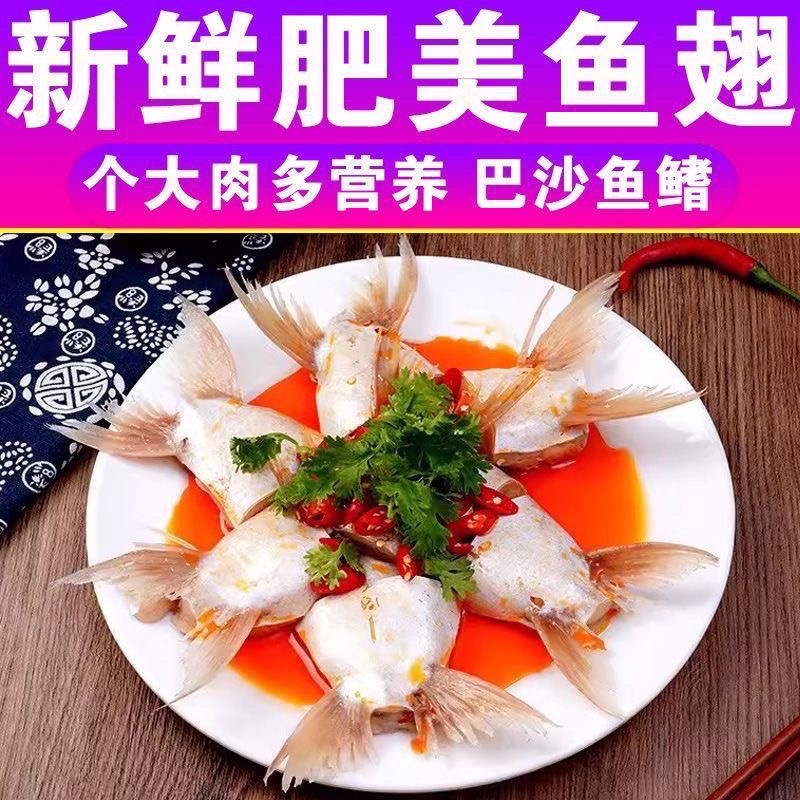 烧烤食材鱼翅新鲜鱼翅剁椒鱼翅鱼下巴巴沙鱼鱼腩