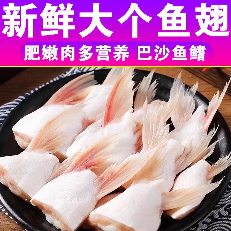 烧烤食材鱼翅新鲜鱼翅剁椒鱼翅鱼下巴巴沙鱼鱼腩
