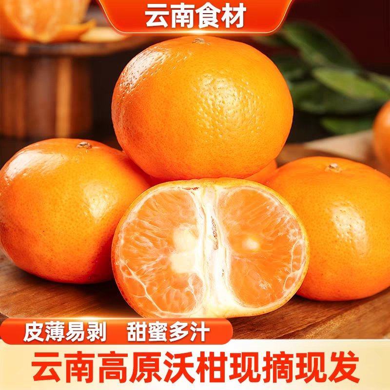 【荐】云南玉溪沃柑新鲜上市基地一手货源视频看货发全国