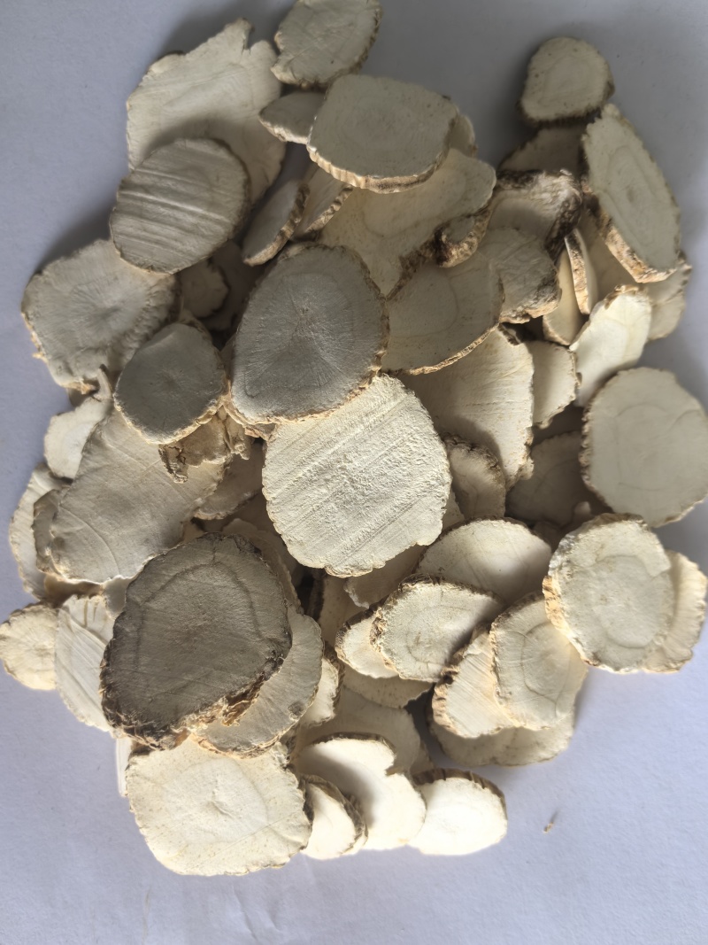 白芷大片白芷川白芷东弘药材一手货源量大从优