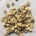 黄芪圆片黄芪1.2精品黄芪东弘药材一手货源产地甘肃岷县