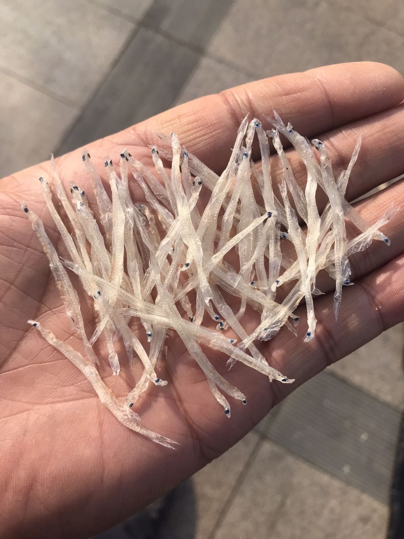 银鱼干4一5公分一斤150元通货干白直，