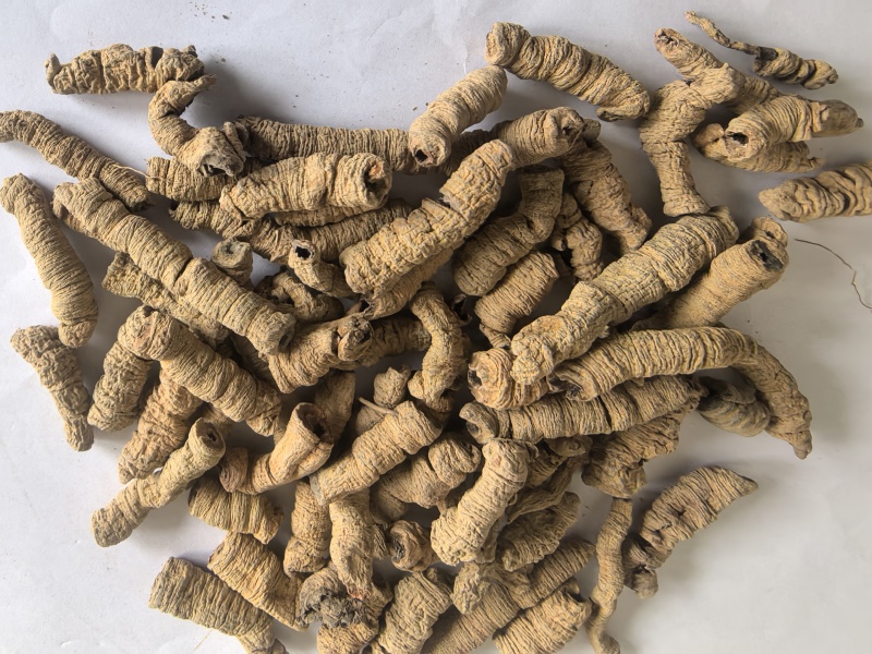 巴戟巴戟天巴戟肉东弘药材一手货源中药材批发