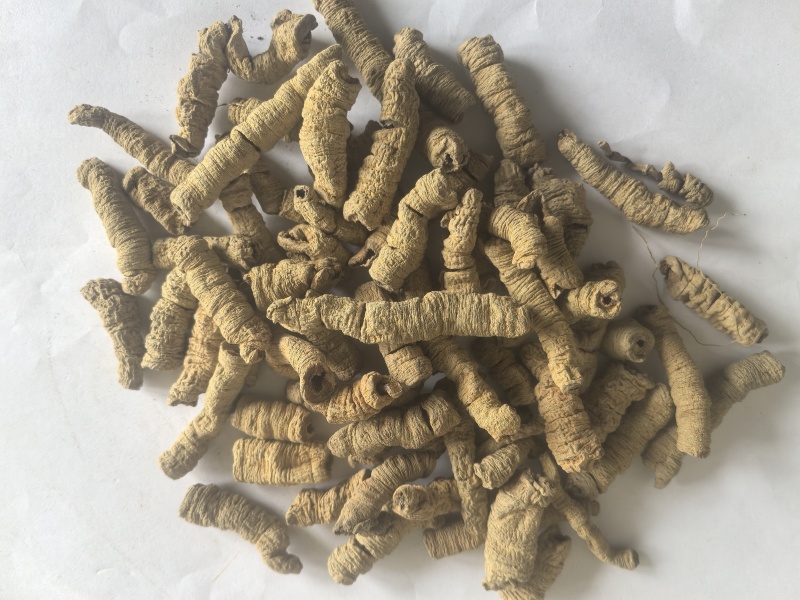巴戟巴戟天巴戟肉东弘药材一手货源中药材批发