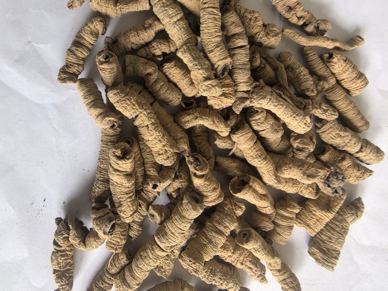 巴戟巴戟天巴戟肉东弘药材一手货源中药材批发