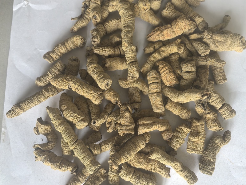 巴戟巴戟天巴戟肉东弘药材一手货源中药材批发