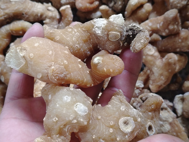 黄精