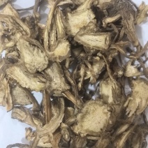 当归甘肃岷县当归全当归东弘药业一手货源批发零售