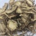 当归甘肃岷县当归全当归东弘药业一手货源批发零售