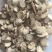 白芍精品白芍片无流无杂质东弘药材一手货源产地直发