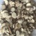 白芍精品白芍片无流无杂质东弘药材一手货源产地直发