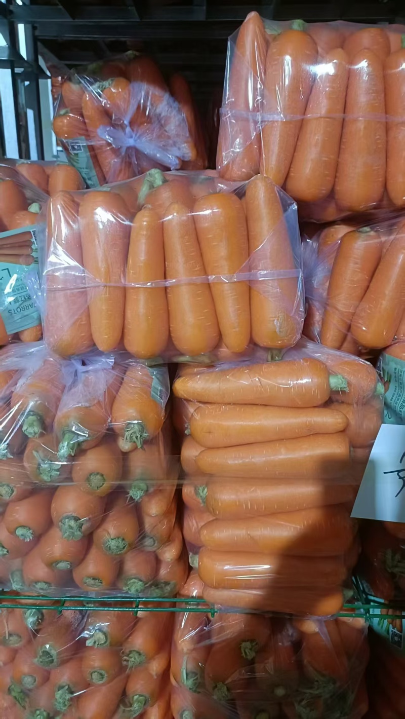 三红胡萝卜大量有货基地直供品质优可对接市场商超欢迎咨询