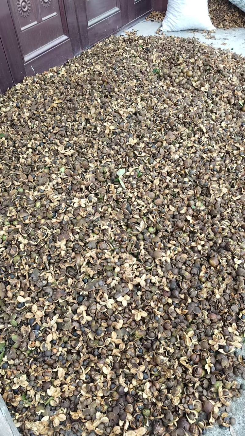 山茶油/原产地发货/农家传统工艺压榨/欢迎下单