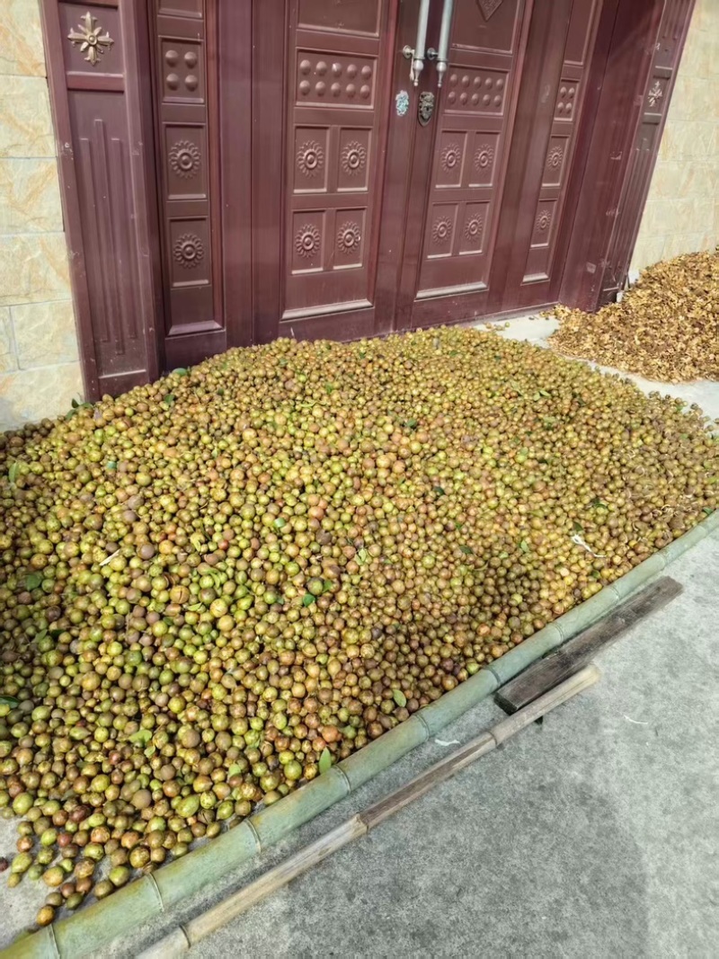 山茶油/原产地发货/农家传统工艺压榨/欢迎下单