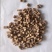 怀牛膝精品怀牛膝新货东弘药材一手货源中药材批发零售