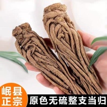 当归整根甘肃岷县当归个子干货规格齐全大货供应诚信